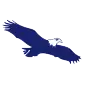 Eagle Finance