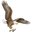 Eagle Claw Fishing Tackle Co.