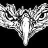Eagle Eye Custom LLC