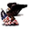 Eagle Flag of America Inc.