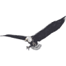 Eagle Industries Inc