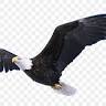 Eagle Lake Realty