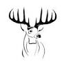 Eagle Lakes Outfitters