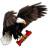 Eagle One Insurance Agency