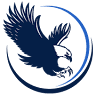 Eagle Security and Sound Systems