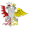Eagle Service Soc. Cooperativa