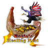 Eagle's Healing Nest
