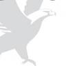 Eagle TradeVision