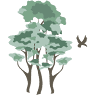 Eagle View Escape