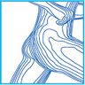 Ealing Physio (Ealing Physiotherapy Limited)