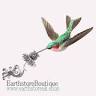 Earthstore Boutique Saltburn