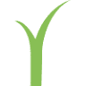 Easigrass Artificial Grass South Wales