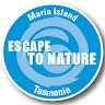 East Coast Cruises