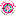 East Coast Wholesale Flowers