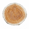 henrys cedar sawmill