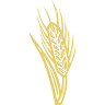 Parkway Funeral & Cremation Service