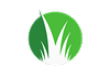 Easy Care Turf