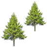 Eby's Pines RV Park & Campground