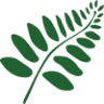 EcoAction Partners