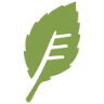 Eco Dental