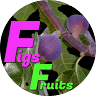 Eco Figs Fruits SLU