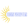 Economy Glass Tinting / Window Film
