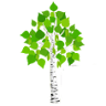 Ecosauna
