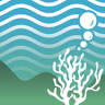 EcoScenic Nature Aquarium And Aquascaping Gallery