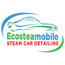 Ecosteamobile - Mobile Steam Car Detailing DMV