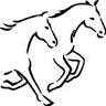 DOMAINE EQUESTRE DES BROSSES