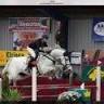 SVR camping Eefting met paarden