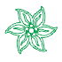 Edelweiss Travel Ltd.