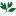 Edge of the Woods Native Plant Nursery, LLC