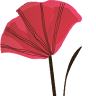 SIA 