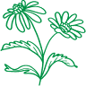 Edmonds Vitamins & Herbs