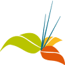 Escuela Española de Arte Floral