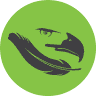 Eagle Eye Cloud Solutions