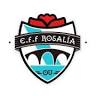 EFF Rosalía