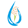 Ege Yaşam Hastanesi