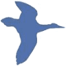 Eid Air Aviation
