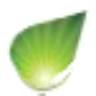 Himadri Limited