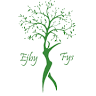Ejby Fys