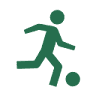 Boiska sportowe Ekoball