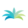 El-Ajou Group - El-Ajou Group Trading Company