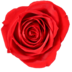 El Camino Florist