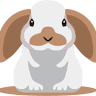 elconejo.net