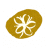 Wanneroo Community Nursing Home