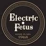 Electric Fetus Duluth