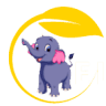 Elefun - Elephant activities park