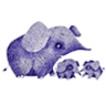 Elephant Paradise Family